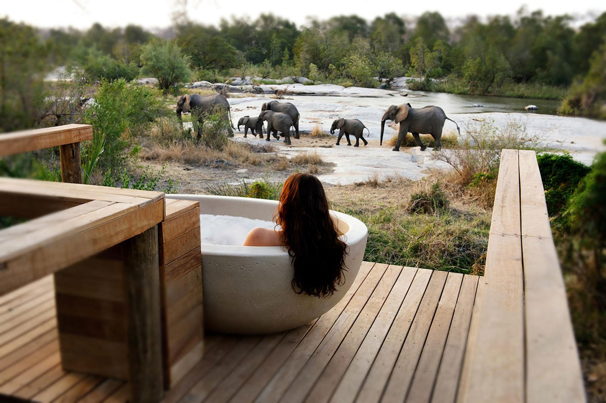 Woman relaxing in bath on deck overlooking herd of elephants in nature