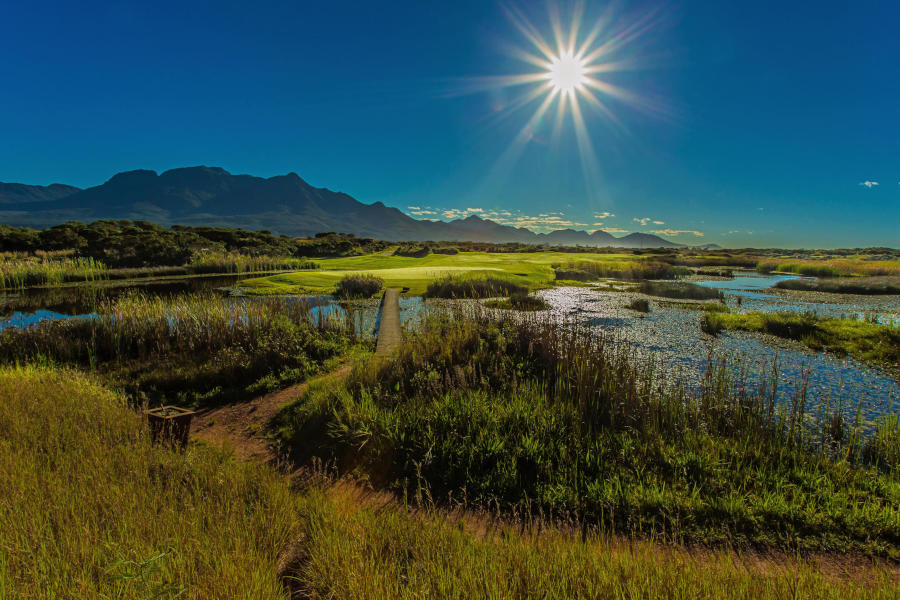 Sun over the greens at The Links